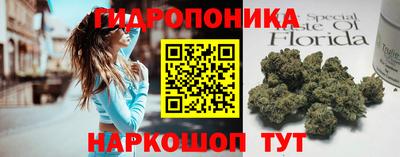 СК Гагарин