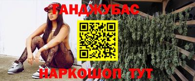 спиды Гатчина