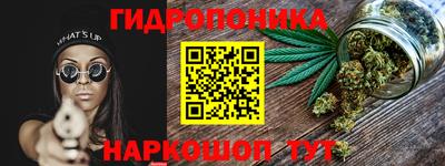 СК Гагарин