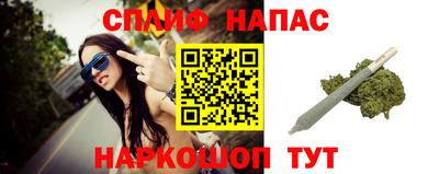 спиды Гатчина