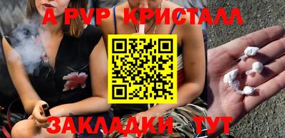 спиды Гатчина